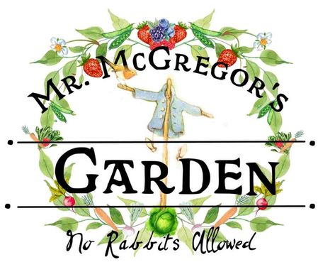 Mr Mcgregors Garden, Mr Mcgregor, Hippie Garden, Boys First Birthday Party Ideas, Rabbit Garden, Picnic Wedding, Kitchen Sign, Garden Images, Better Homes And Garden