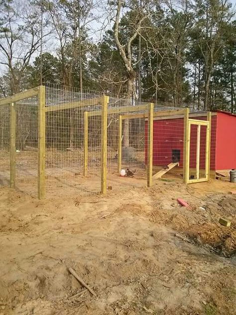 Chicken Run Plans Diy, Chicken Run On A Budget, Large Chicken Run Plans, Large Chicken Coop Ideas Walk In, Shipping Container Chicken Coop, Cheap Chicken Run Ideas, Pallet Chicken Run, Chicken Coop Designs Diy Cheap, Cheap Chicken Run