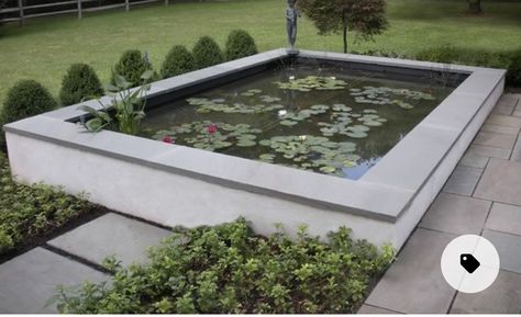 Raised Ponds, Koi Pond Ideas, Raised Pond, Koi Pond Design, Living Pool, Backyard Pond, Garden Pond Design, Garden Frogs, Turtle Pond