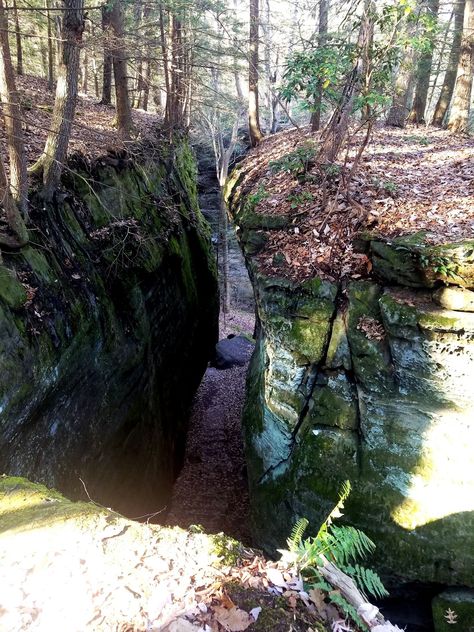 The Unrivaled Canyon Hike In Ohio Everyone Should Take At Least Once Cantwell Cliffs at Hocking Hills – Mainstream Adventures Mainstream Adventures, Ohio Hiking, Narrow Staircase, Hocking Hills State Park, Beautiful Parks, Hocking Hills, Hiking Destinations, Beautiful Park, State Park