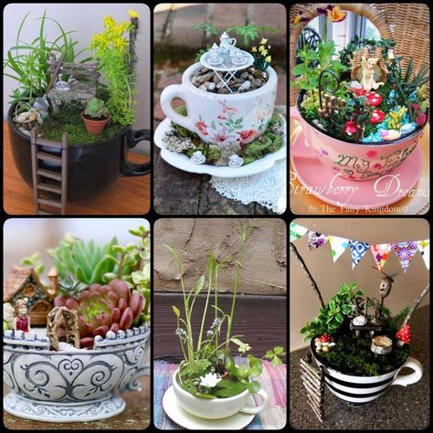 14 Cute Teacup Mini Gardens Ideas Small Water Gardens, Fairy Terrarium, Teacup Gardens, Teacup Crafts, Miniature Terrarium, Gardens Ideas, Mini Gardens, Fairy Garden Designs, Fairy Garden Crafts