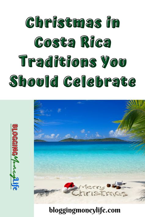 Experience Tropical Christmas Magic: Explore Christmas in costa rica traditions and Discover Joyful Celebrations and festivities. https://bloggingmoneylife.com/christmas-in-costa-rica-traditions/ Tropical Sun, Tropical Christmas, Bull Run, Festival Lights, Christmas Tree Lighting, Tropical Paradise, Unique Christmas, Christmas Magic, Christmas Traditions