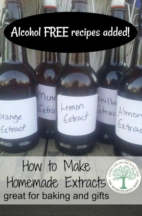 Extracts Homemade, Diy Extracts, Make Vanilla Extract, Vanilla Extract Recipe, Homemade Vanilla Extract, Mint Extract, Homemade Almond Milk, Homemade Syrup, Lemon Extract