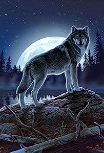 Full Moon Wolf, Fantasy Wolves, Wolf Pics, Wolf Fleece, Beautiful Wolf, Mystical Wolf, Moon Wolf, Mythical Animals, Wolf Images