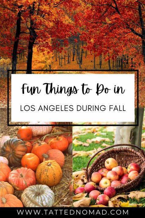 Things To Do During Fall, Southern California Travel, Los Angeles Aesthetic, California Travel Guide, Thanksgiving Travel, Places In California, New England Fall, Visiting Nyc, Usa Travel Guide