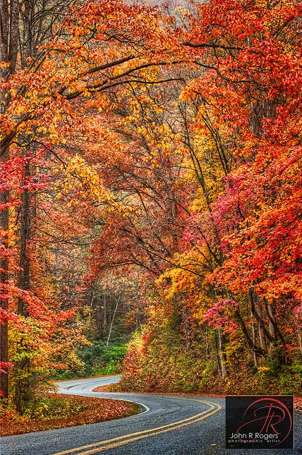 Autumn in Austin, Texas This is incredible! In twenty years of living here this is the first time I am seeing fall color like New England. Austin Texas Autumn, Lake Toxaway, Fall Beauty, Autumn Scenes, Colorful Trees, Autumn Scenery, Autumn Beauty, Fall Pictures, Scenic Drive