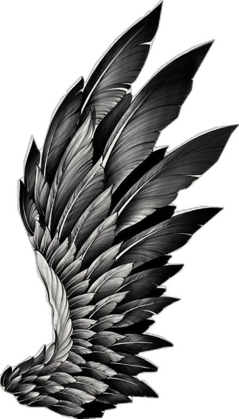 Angel Baby Drawing, Eagle Wing Tattoos, Tattoos For Dad Memorial, Alas Tattoo, Gothic Tattoos, Colored Tattoo Design, Dragon Tattoo Art, Pencil Drawings Of Flowers, Wing Tattoo Designs