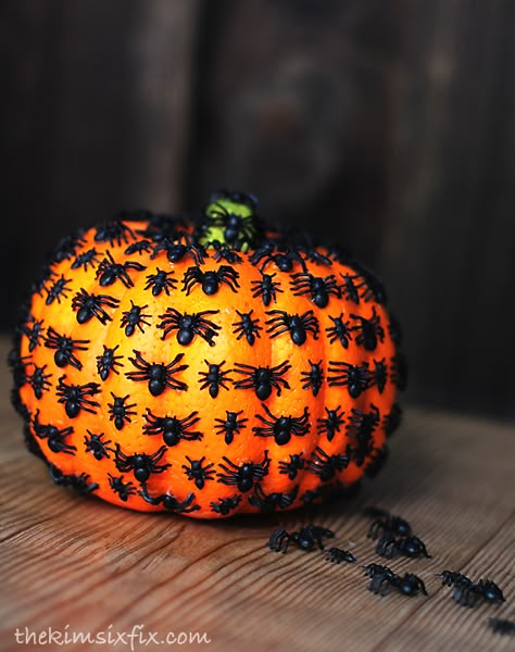 Bug Infestation, Dollar Store Halloween Decorations, Pumpkin Decorating Contest, No Carve Pumpkin Decorating, Creepy Crawlers, Pumpkin Uses, Halloween Memes, Dollar Store Halloween, Halloween Tattoo