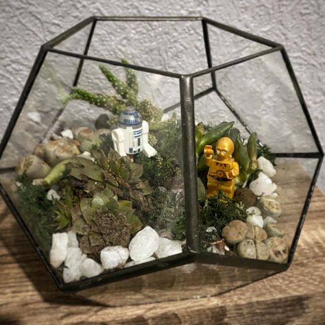 terrarium Star Wars plants cactus figures r2d2 c3p0 Nerdy Terrarium, Star Wars Arts And Crafts, Star Wars Terrarium Diy, Star Wars Bookshelf, Star Wars Wedding Decor, Nerdy Centerpieces, Subtle Star Wars Decor, Star Wars Bathroom Ideas, Star Wars Centerpiece Wedding