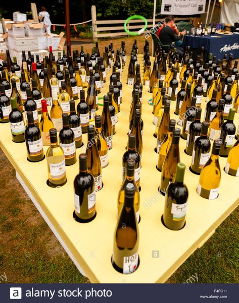 Download this stock image: USA, Washington, Seattle, Woodinville. Ring toss over the necks of wine bottles is a popular game at Bucket of bottles at the Auction of Washington Wine Picnic and Barrel Auction. - F4FC11 from Alamy's library of millions of high resolution stock photos, illustrations and vectors. Bottle Ring Toss, Carnival Party Games, Wine Ring, Wine Picnic, Washington Seattle, Gala Ideas, Ring Toss Game, Carnival Themed Party, Ring Toss