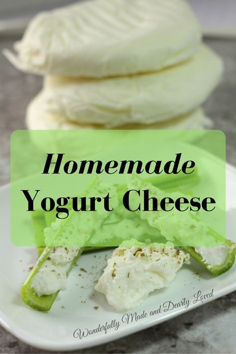 Yogurt Homemade, Cheese Recipes Homemade, Yogurt Cheese, Cheese Making Recipes, Thm Recipes, Homemade Yogurt, Toddler Food, Wonderfully Made, Homemade Cheese