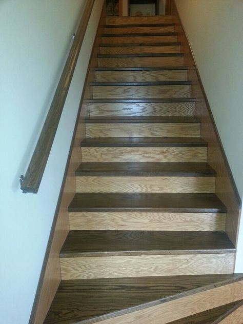 Two tone oak staircase Two Tone Wood Stairs, Two Tone Stairs, 90s Oak Staircase Makeover, Two Tone Staircase, Stair Tread Stain Colors, How To Stain Stairs Staircases, Updated Oak Staircase, Pine Stairs Stained, Refinish Stairs