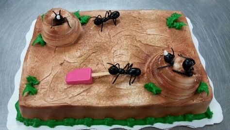 Ant Cake Ideas, Ant Cake, Queen Ant, 2 Birthday Cake, 2 Birthday, Safari Party, 9th Birthday, 4th Birthday, Birthday Cakes