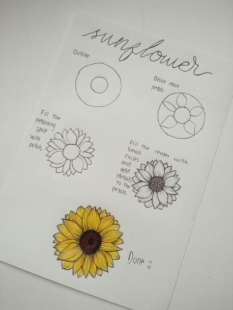 Drawing Sunflowers Step By Step, Sunflower Drawing Wallpaper, Sunflower Illustration Simple, Sunflower Sketch Simple, Sunflower Drawing Tutorial, Sunflower Drawing Aesthetic, How To Draw A Sunflower, Easy Sunflower Drawing, How To Draw Sunflowers