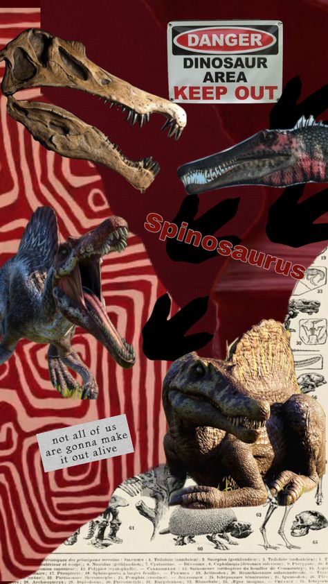 Spinosaurus #spinosaurus #spino #dinosaur #prehistoric Prehistoric Wallpaper, Dinosaur Moodboard, Spinosaurus Wallpaper, Jurassic Wallpaper, Spinosaurus Art, Astetic Wallpapers, Dino Facts, Dinosaur Aesthetic, J Park