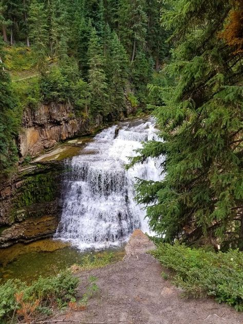 These 5 Easy Waterfall Hikes In Montana Are Totally Family-Friendly Gallatin Gateway Montana, Visiting Montana, Montana Nature, Travel Montana, Montana Hiking, Yellowstone Vacation, Calming Pictures, Montana Vacation, Montana Travel