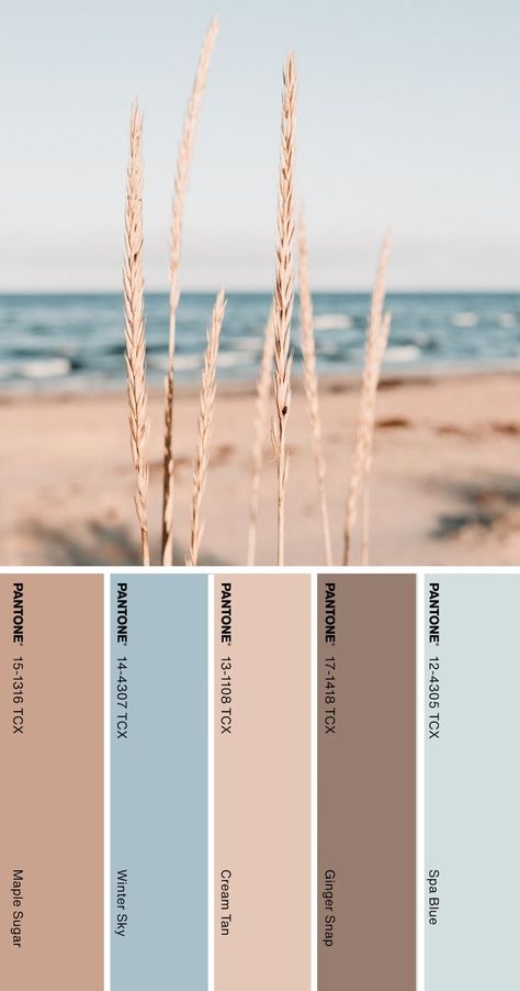 Color Palette Pantone, Pantone Color Palette, Choir Dresses, Pantone Colour Palettes, Color Stories, Pantone Color, Dress Codes, Color Palette, Graphic Design