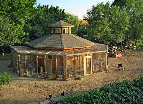 This one is for me. Multi purpose Coop.  I am going to make this a garden shed, chicken coop and a room for rabbits. Pigeon Keeping, Chicken Fencing, Homesteading Animals, Pets Stuff, Chicken Coup, Coop Design, Best Chicken Coop, Chicken Coop Designs, Coop Plans