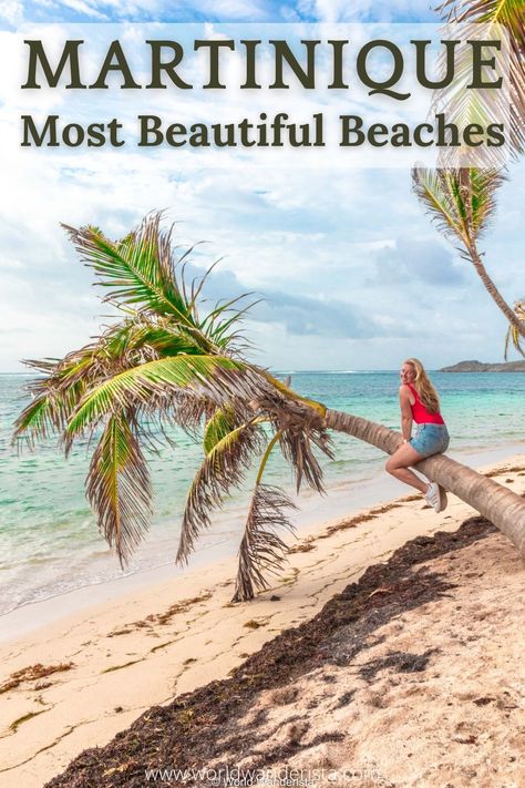 Martinique's most beautiful beaches and where to find them Martinique Island, Black Sand Beaches, Quiet Beach, Misty Forest, Black Sand Beach, Travel Locations, Caribbean Cruise, Beach Paradise, Most Beautiful Beaches