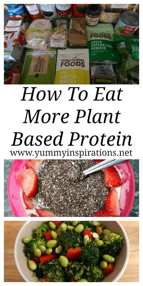 Plant Based Protein Sources - How To Increase Intake Of Plant Proteins Increase Protein Intake Vegetarian, Plant Protein Vs Animal Protein, Plant Protein Snacks, Plant Based Protein Snacks, Meatless Protein Sources, How To Increase Protein Intake, Food Reset, Protien Diet, Plant Based Protein Recipes