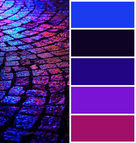 Blue Purple Color Palette, Purple Color Palette, Neon Colour Palette, Purple Color Schemes, Black Color Palette, Purple Color Palettes, Hex Color Palette, Color Schemes Colour Palettes, Cool Winter