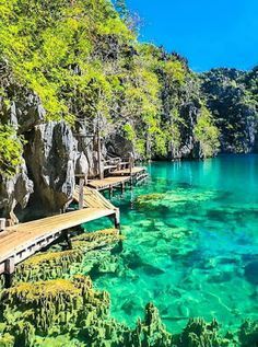 Barracuda Lake is one of the best attractions in Coron, Palawan. Barracuda Lake, Kayangan Lake, Coron Palawan, Philippines Travel, Coron, Palawan, Vacation Places, Travel Goals, Places Around The World