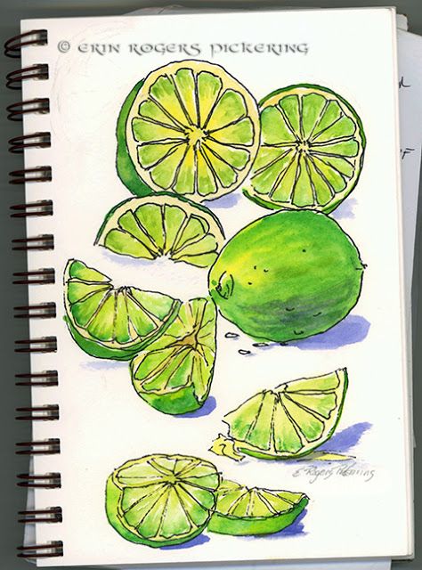 Erin Go Paint: Daily Drawing - Fresh Limes Limes Drawing, Lime Sketch, Citrus Fruits List, Lime Drawings, Cookbook Drawings, Wallpaper Buah, Drawn Recipes, Fruits High In Fiber, Lime Tattoo