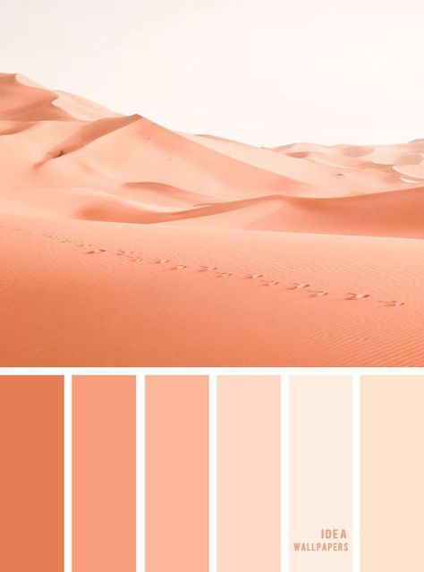 Sand Color Palette, Peach Pantone, Pretty Color Palette, Peach Color Schemes, Color Palette From Image, Coral Colour Palette, Hex Color Codes, Palette Color, Color Palate