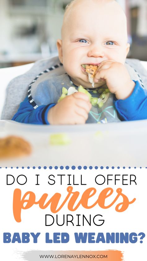 In this series, mamas answer: Did you use purées also? If so, did it cause any sort of confusion for your baby? Explain how you used both weaning methods.  #babyledweaning #BLW Baby Nutrition, Baby Meals, First Foods, Baby Foods, Feeding Baby, Baby Weaning, Pumping Moms, Fantastic Baby, Baby Sleep Problems