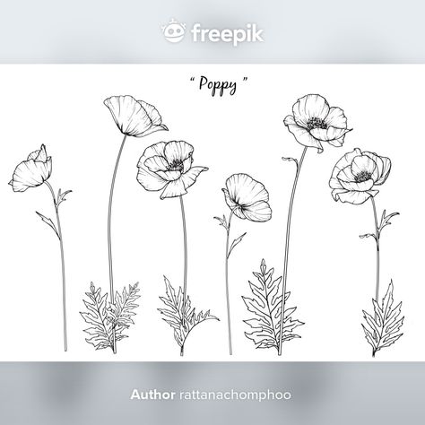 Single Poppy Flower Tattoo, Poppy Flower Finger Tattoo, Poppy Ink Drawing, Black And White Poppy Flower Tattoo, Poppy Plant Tattoo, Poppy Flower Vine Tattoo, Poppy And Violet Flower Tattoo, Poppy Flower Drawing Simple, Poppy Tattoo Design