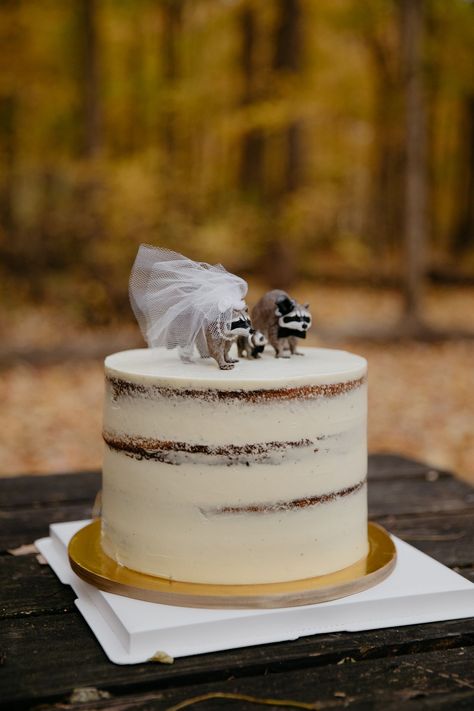 Racoon cake toppers on wedding cake at campsite during a fall elopement Elopement Details, Turkey Run, Fall Elopement, Happy Tears, Racoon, Fall Foliage, Wedding Cake Toppers, Brilliant Colors, Chip Cookies