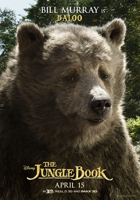 "The Jungle Book" character movie poster, 2016. Bill Murray as Baloo the Bear. PLOT: A live-action movie of the 1967 animated Disney film. The Jungle Book 2016, Baloo Jungle Book, Jungle Book 2016, Jungle Book Movie, Jungle Book Characters, Jungle Book Disney, The Jungle Book, Film Disney, Idris Elba