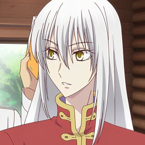 Ayame Sohma, Guys References, Hair Guys, Tohru Honda, Grey Hair Men, Fruits Basket, Fictional World, Fruit Basket, Grey Hair