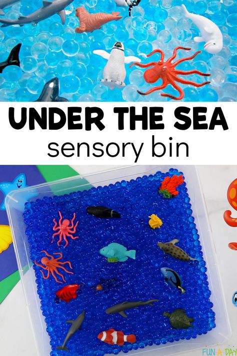 Grab your favorite ocean animal toys to make an under the sea sensory bin for the kids. Oh so easy to put together and hours of play! Click on the Fun-A-Day.com link for more details about the ocean sensory bin. Under The Sea Messy Play, Under The Sea Sensory Bin, Sea Sensory Bin, Under The Sea Sensory, Ocean Sensory Bin, Ocean Sensory, Messy Play Activities, Preschool Theme Activities, Toys To Make