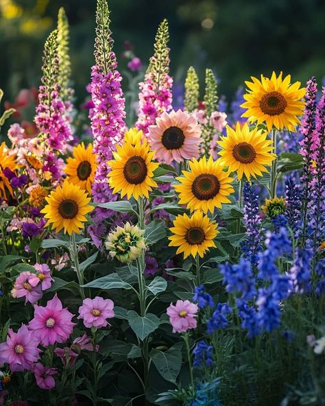 Summer Garden Mix  A vibrant combination of sunflowers, delphiniums, and cosmos creating a stunning, colorful display that celebrates the beauty of summer!  Light: Full sun. Water: Regular, keep soil consistently moist. Soil: Well-draining, fertile soil. Temp: 65-85F 18-29C. Humidity: Moderate. Fertilizer: Feed with a balanced fertilizer every 4-6 weeks during the growing season. Perfect for adding a burst of color and life to any garden or outdoor space!   #houseplants #Plants #garden #leaf Cosmos Garden, Floral Photos, Sunflower Garden, Sun Water, Plants Garden, Floral Photo, Delphinium, Summer Garden, Pretty Flowers