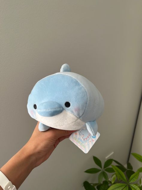 Whale Plushie Aesthetic, Beach Stuffed Animals, Cursed Stuffed Animals, Sea Animal Plushies, Aquarium Plushies, Dolphin Plushies, Aesthetic Dolphin, Blue Plushie, Dolphin Aesthetic