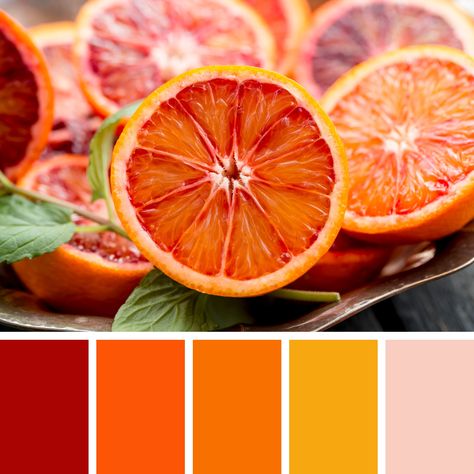 Indian Colour Palette, Color Design Inspiration, Food Inspired, Indian Colours, Palette Design, Color Pallete, Red Colour Palette, House Deco, Palette Inspiration