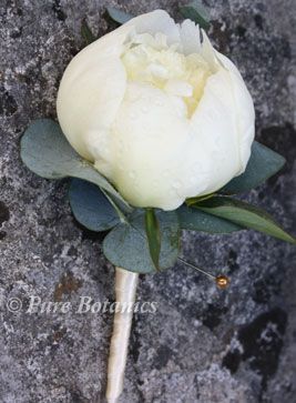 Peony Buttonhole, Peony Boutonniere, Pink Boutonniere, Button Holes Wedding, Secret Garden Wedding, Corsage Prom, White Peony, Peony Wedding, Bouquet Arrangements