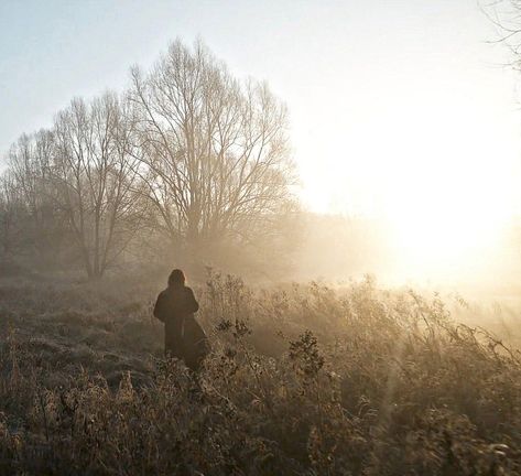 Aesthetic Daryl Dixon, Aaron Twd Aesthetic, Alexandria Twd Aesthetic, Daryl Dixon Crossbow Aesthetic, Twd Shifting Visuals, Daryl Aesthetic, Twd Widgets, Twd Visuals, Daryl Dixon Aesthetic