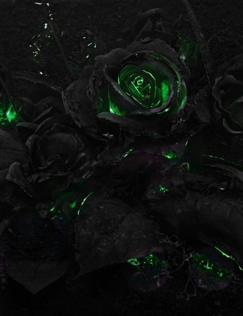 Loki roses God of mischief Loki Aesthetic Green, Loki Aesthetic Dark, Loki Moodboard, Pthalo Green, Byronic Hero, Care Bear Tattoos, Photowall Ideas, Loki Aesthetic, God Of Mischief