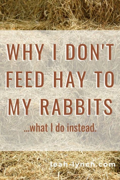 Rabbit Foraging Ideas, Fodder For Rabbits, Rabbit Hutches Diy, Rabbit Farming Ideas, Herbs For Rabbits, Rabbit Butchering Station, Hay Storage Ideas Bunny, Diy Bunny Hay Feeder, Rabbit Hay Storage