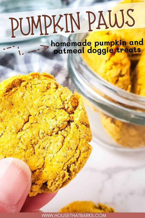 Homemade Pumpkin Dog Treats Without Peanut Butter, Dog Oatmeal Cookies, Oatmeal Pumpkin Dog Treats Easy, Waffle Iron Dog Treats, Dog Pumpkin Cookies, Dog Cookies Recipe Easy Pumpkin, Soft Pumpkin Dog Treats Easy, Dog Biscuits Homemade Pumpkin, Pumpkin Dog Cookies Recipe