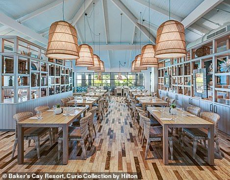 All ingredients used at the two restaurants, Calusa (pictured) and Dry Rocks, are sourced ... Key Largo Restaurants, Florida Keys Resorts, Key Largo Florida, Romantic Restaurants, Beach Hammock, Romantic Restaurant, Parasailing, Beach Activities, Hilton Hotel