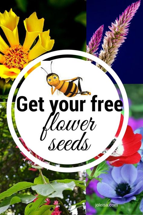 Just click to read and have your free seeds delivered to you for your garden this year. Remember to share the word with a friend too. Wild Flower Garden, Free Seeds, Garden Spider, Container Gardening Ideas, Flower Garden Design, Wildflower Garden, Garden Pests, Annual Plants, Wild Flower