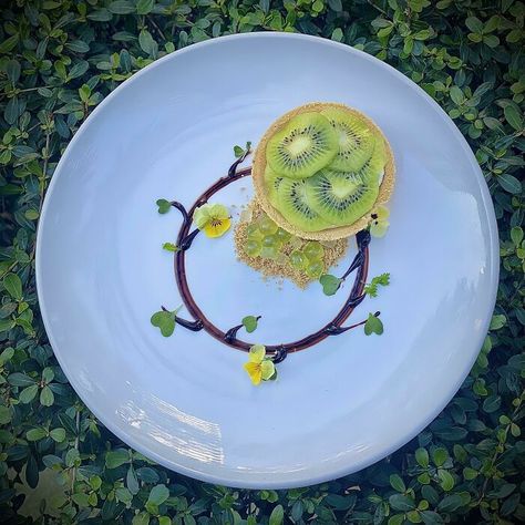 People In This Online Group Take Food Plating To Another Level, Here Are 30 Of The Most Impressive Examples | Bored Panda Kiwi Tart, Kiwi Dessert, Food Plating Design, Pistachio Brittle, Mango Tart, Food Plating Techniques, Cucumber Salsa, White Chocolate Mousse, Tart Dessert