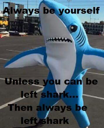 Always be left shark. Left Shark, Sharks Funny, Funny Animal Quotes, Shark Week, White Sharks, Great White Shark, Animal Quotes, Funny Animal, Katy Perry