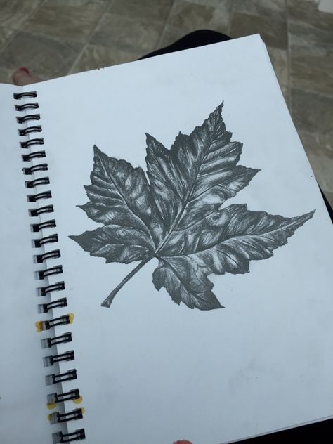 Tonal drawing of a leaf Tonal Drawing, Leaves Sketch, Beautiful Pencil Drawings, Tree Drawings Pencil, Natural Form Art, Leaf Watercolor, Pencil Drawings Of Girls, Pencil Drawings For Beginners, Gcse Art Sketchbook