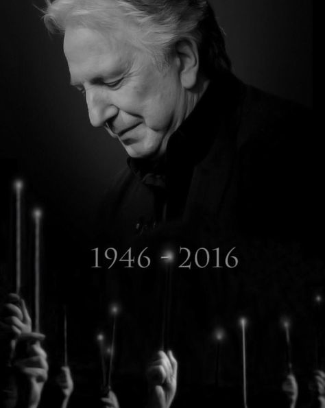 RIP Alan Rickman Alan Rickman Harry Potter, Severus Sneep, The Golden Trio, Citate Harry Potter, Tapeta Harry Potter, Alan Rickman Severus Snape, Snape Harry Potter, Snape Harry, Harry Potter Severus