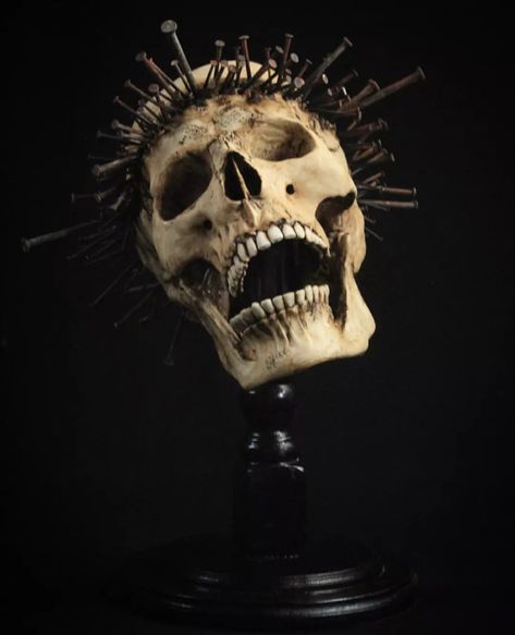 Emil Melmoth Sculpture, Skull Photography Reference, Skull Front View, Emil Melmoth, Skull Anatomy, Skull Reference, Skull Model, Macabre Art, Skull Artwork