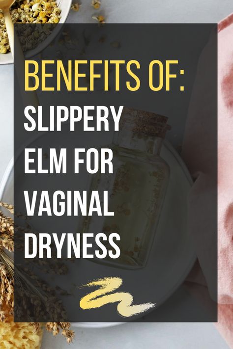 Benefits Of Slippery Elm Bark, Slipper Elm Benefits, Slippery Elm Bark Benefits Women, Slippery Elm Bark Benefits, Hood Healer, Slippery Elm Benefits Women, Slippery Elm Benefits, Vaginosis Remedies, Slippery Elm Tea